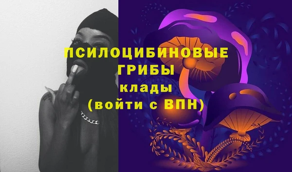 дурь Балахна