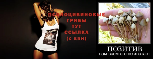трава Баксан