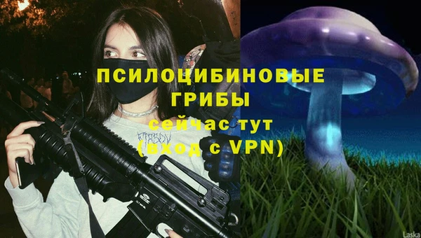 дурь Балахна