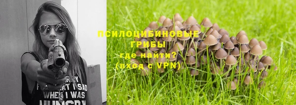дурь Балахна