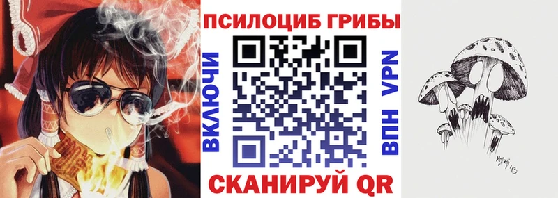 кракен tor  Сосногорск  Псилоцибиновые грибы ЛСД 